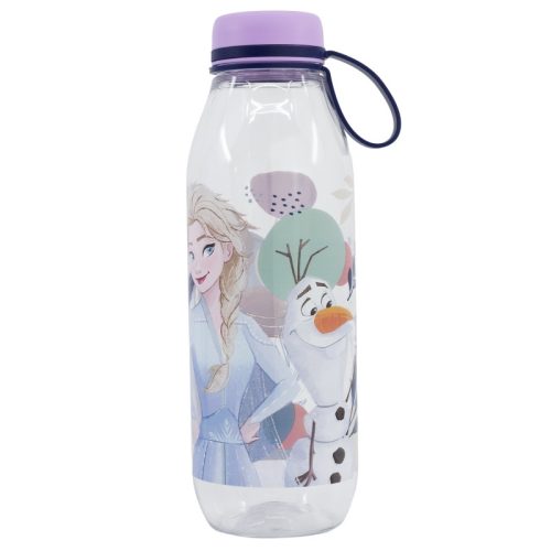 Disney Eiskönigin Frozen Adventure Ecozen Trinkflasche, Sportflasche 650 ml