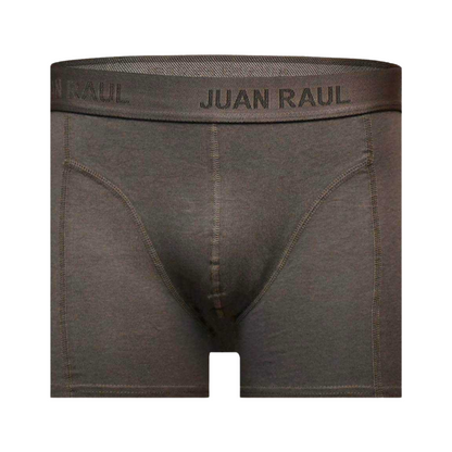 Basic Boxershorts Grau Doppelpack