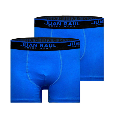 Basic Boxershorts Blau Doppelpack
