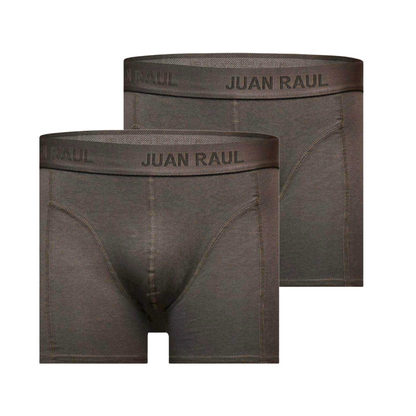 Basic Boxershorts Grau Doppelpack