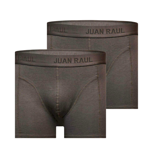 Basic Boxershorts Grau Doppelpack