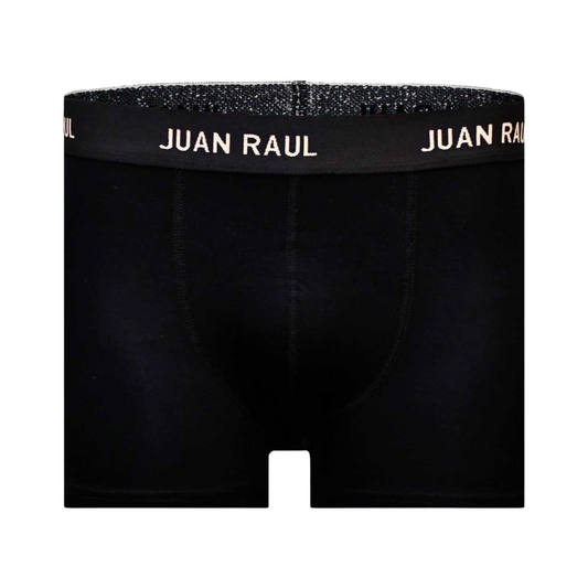 Basic Boxershorts Schwarz Doppelpack